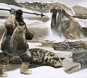 Eskimo Attacking Walrus
