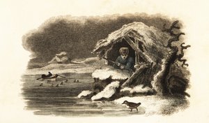 European Water Ouzel Walking into Lake Nantua, France, and Continuing Submerged on the Bottom of the Lake in a Bubble of Air