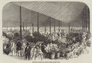 Exhibition of the Royal Botanic Society, Regent
