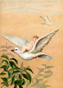 Fairy Riding a White Dove