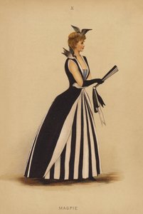 Fancy dress outfits: Magpie