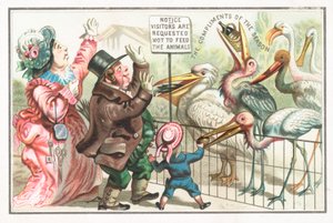 Feeding birds at the zoo by English School