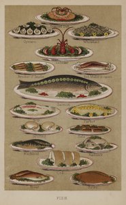 Fish by English School