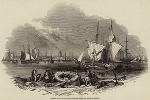 Foreign Corn Ports, New Orleans (engraving)
