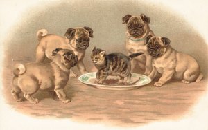 Four Pug Dogs Sitting Around a Kitten on a Plate