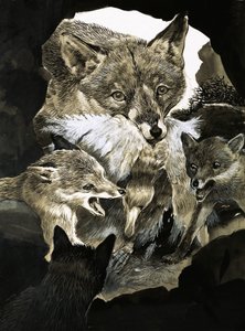 Fox Delivering Food to Its Cubs