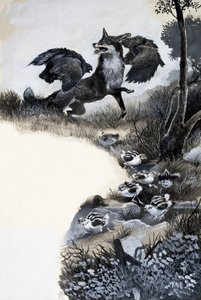 Fox Under Attack