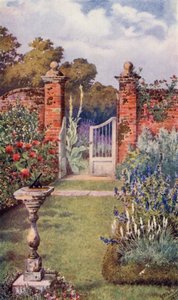 Fragrance in the Herb-Garden