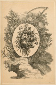 Frontispiece for The New Family Herbal by Matthew Robinson (engraving) by English School