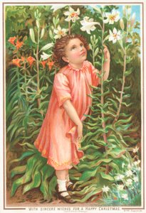 Girl smelling lilies in the garden by English School