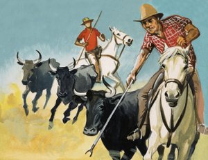 Guardians of the Camargue by English School