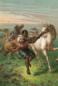 Garibaldi