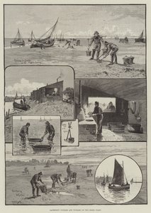 Gathering Cockles and Winkles on the Essex Coast by English School