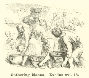 Gathering Manna, Exodus 16:15 by English School