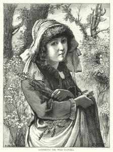 Gathering the wild flowers