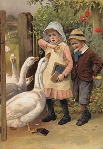 Geese chasing children for their food