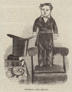 General Tom Thumb by English School