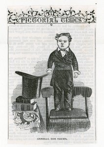 General Tom Thumb by English School