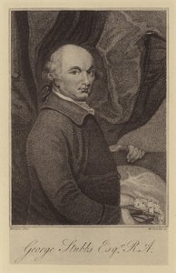 George Stubbs by English School