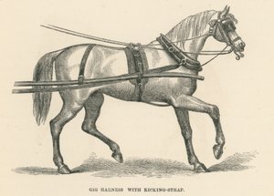 Gig Harness with Kicking-Strap