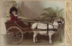 Girl in a goat cart, New Year