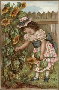 Girl Picking Sunflowers in a Garden