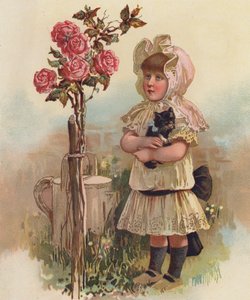 Girl with a cat and a rose tree