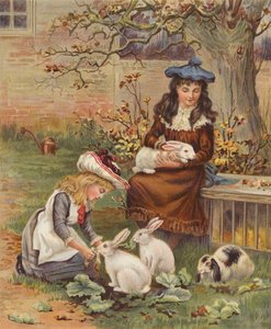 Girls caring for their pet rabbits by English School