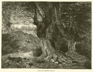 Glade in Burnham Beeches by English School