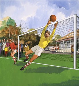 Goalkeeper in the Football Match