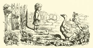 Goosey, Goosey Gander by English School