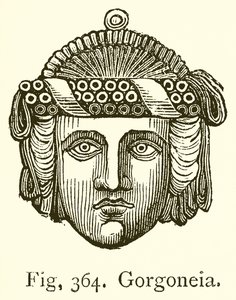 Gorgoneia by English School