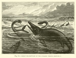 Great Sea-Reptiles of the Jurassic Period, Restored by English School