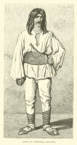 Gypsy of Voakovar, Slavonia by English School
