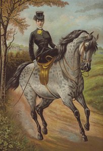 HRH the Princess of Wales by English School