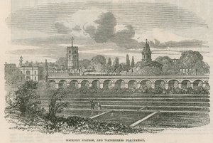 Hackney Station and Watercress Plantation, London