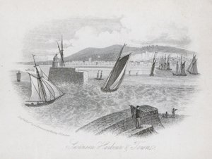Harbour and Town, Swansea, Wales by English School