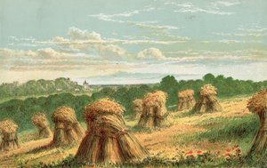 Harvest by English School