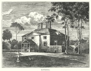 Hawkhill by English School
