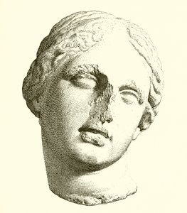 Head of Aphrodite