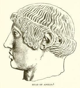 Head of Apollo by English School