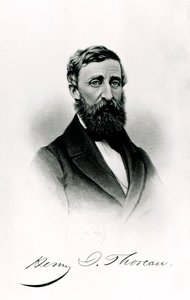 Henry David Thoreau by English School