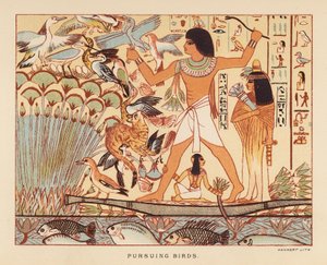 Herodotus: Pursuing birds by English School