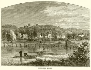 Highgate Ponds
