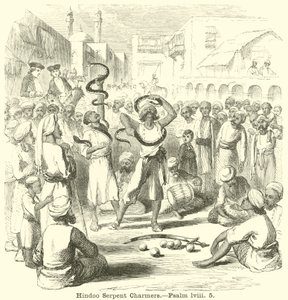 Hindoo Serpent Charmers