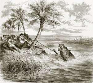 Hippopotamus Harpooned by English School