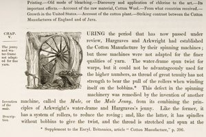 Historiated Initial D, from a Book on British Cotton Manufacturing