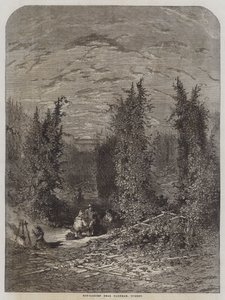 Hop-Garden near Farnham, Surrey