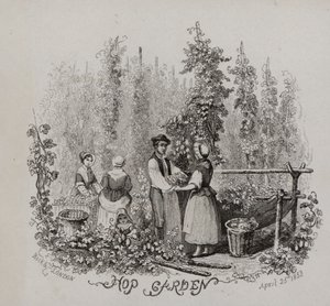 Hop Garden by English School