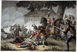 Horse Guard on the Battlefield at Waterloo (in 
